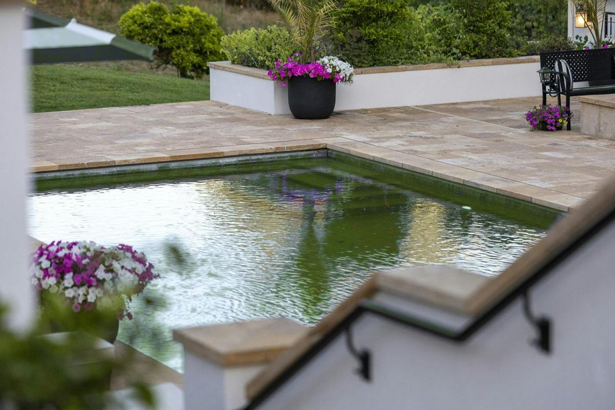 Pool with green water and leaves